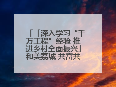 「深入学习“千万工程”经验 推进乡村全面振兴」和美荔城 共富共美 荔城区扎实推进乡村振兴工作